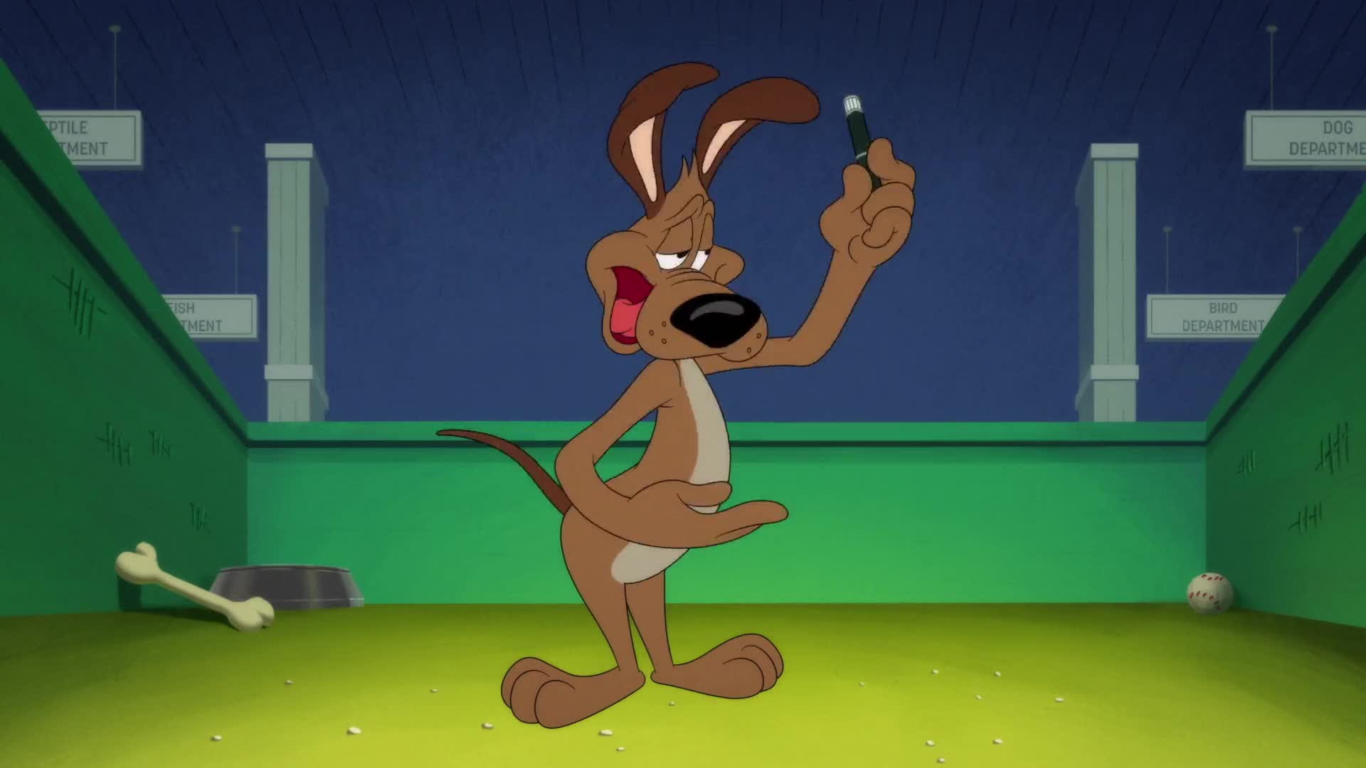 Looney Tunes Cartoons Episódio 3