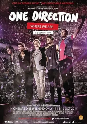 One Direction: Where We Are – The Concert Film assistir online grátis