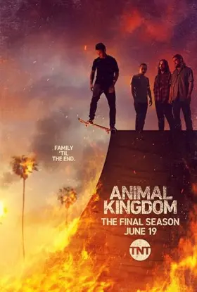 Animal Kingdom - Série completa grátis no Cinegato