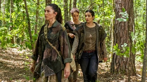 The Walking Dead Episódio 6