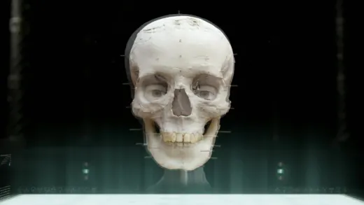 E7.The Jericho Head
