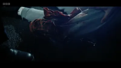 Blue Lights-E3.The Fear