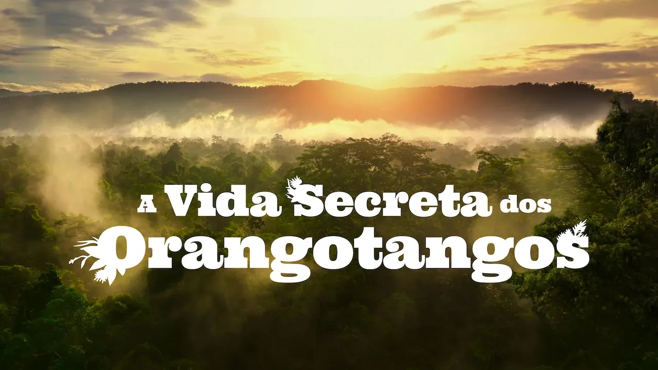 Movie Poster: A Vida Secreta dos Orangotangos