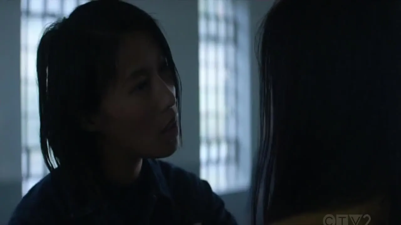 E1.Year of the Tiger (1)