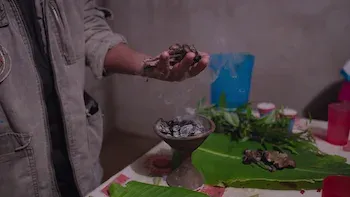 Capítulo 2: Psilocibina