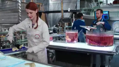 Bones-E15