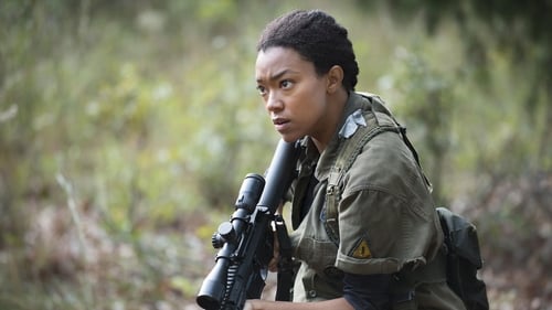 The Walking Dead Episódio 13