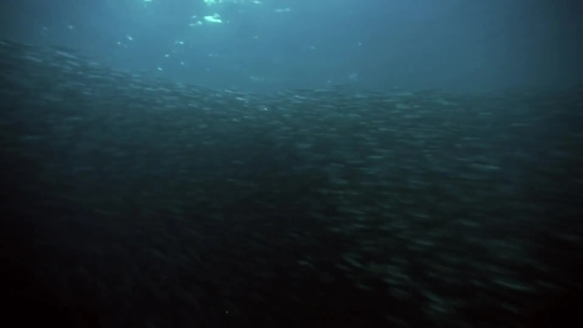 E2.Oceans