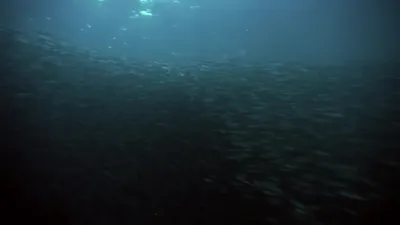 Planeta Hostil-E2.Oceans