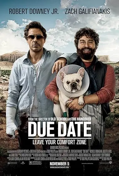 Pôster de Um Parto de Viagem (2010)