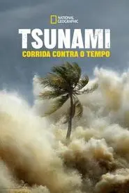 Tsunami: Corrida Contra o Tempo assistir online grátis