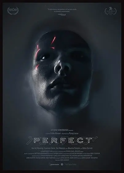 Capa de Perfect