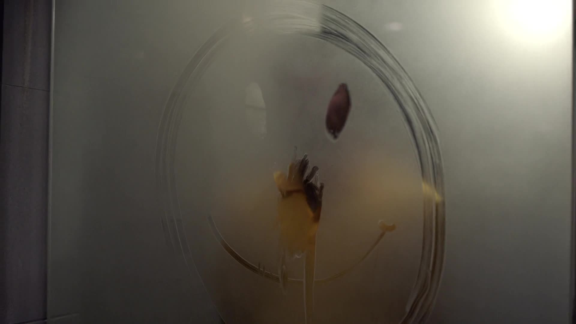 American Horror Story Episódio 4