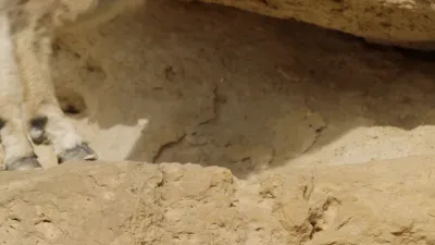 Planeta Hostil-E5.Deserts