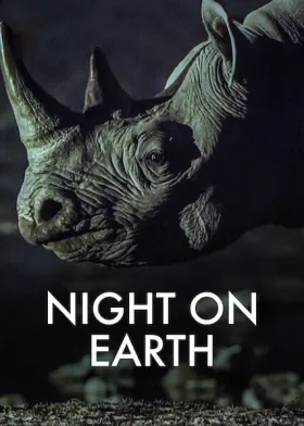 A Terra à Noite assistir online grátis