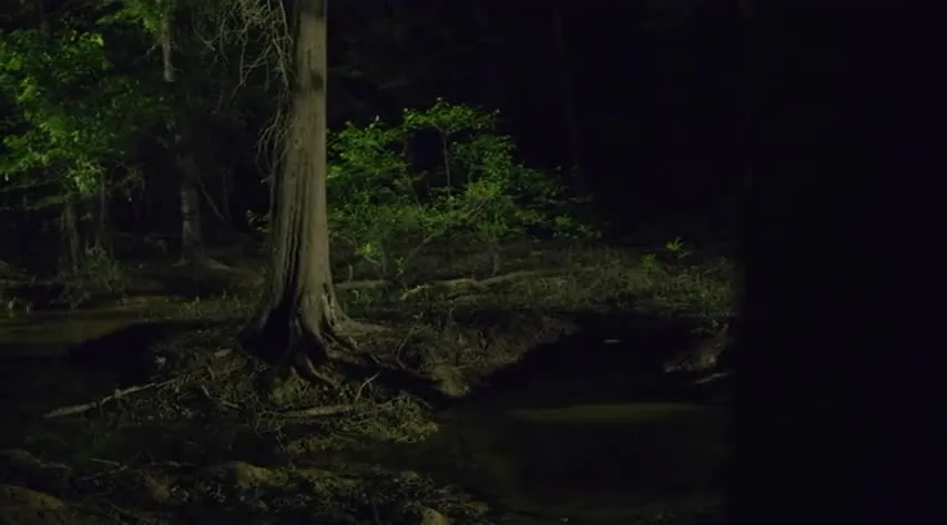 E4.Swamp Things