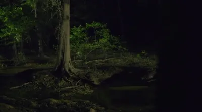 E4.Swamp Things