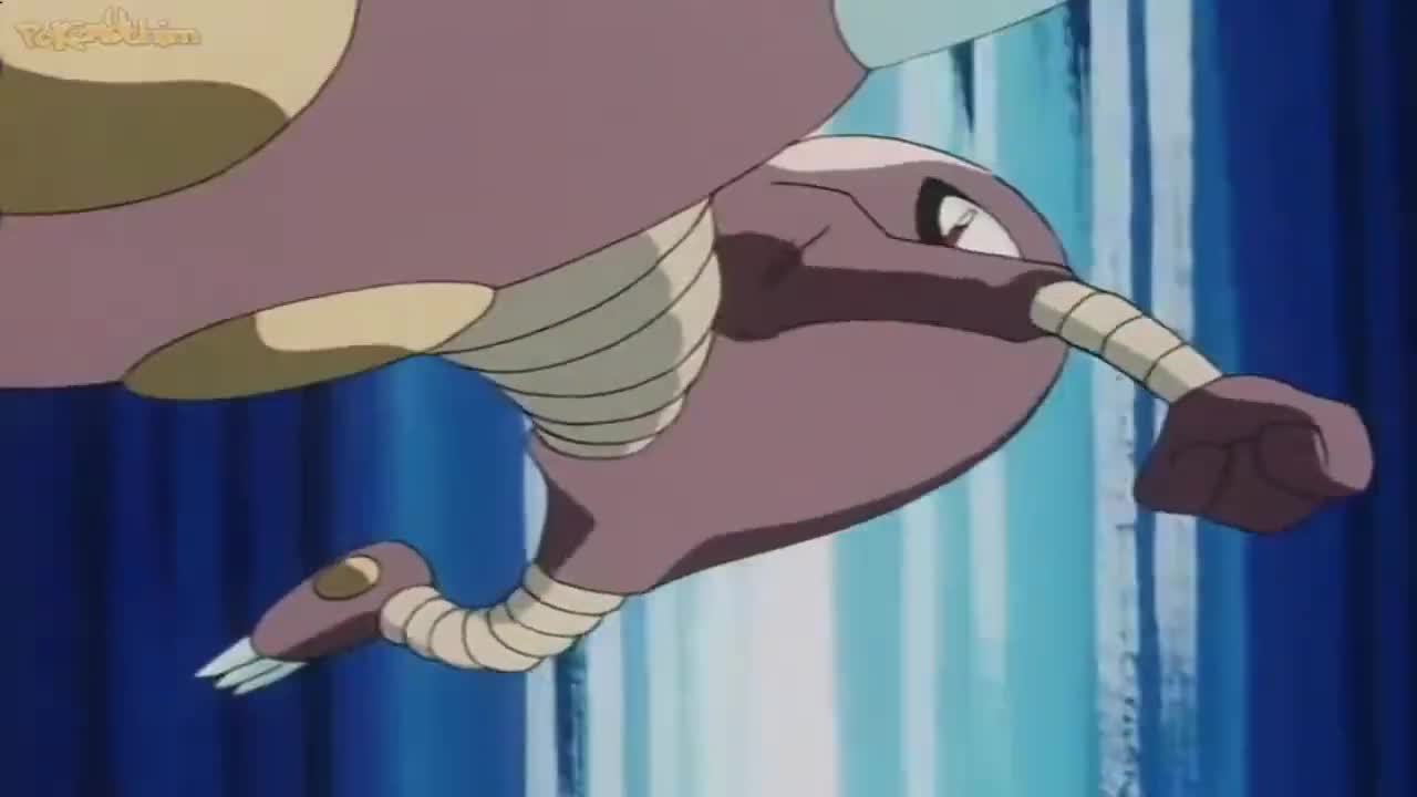 Pokémon The Series: Johto League Champions Episódio 9