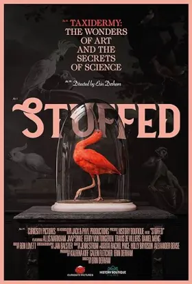 Stuffed assistir online grátis