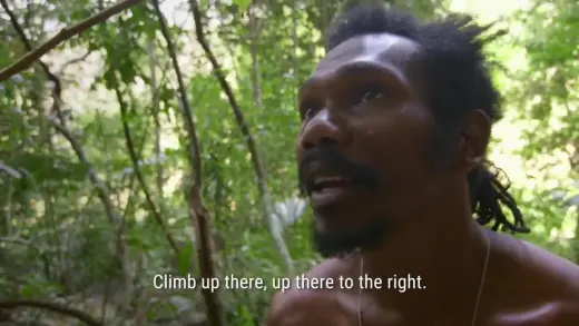 E1.Jungle Ambush