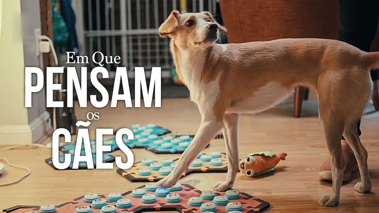 Movie Poster: Dentro da Mente de um Cachorro