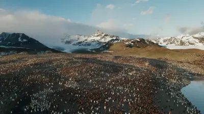 Sete Mundos, Um Planeta-E1.Antarctica