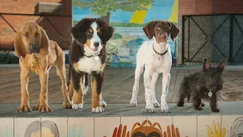 Supercães-E1.Piloto