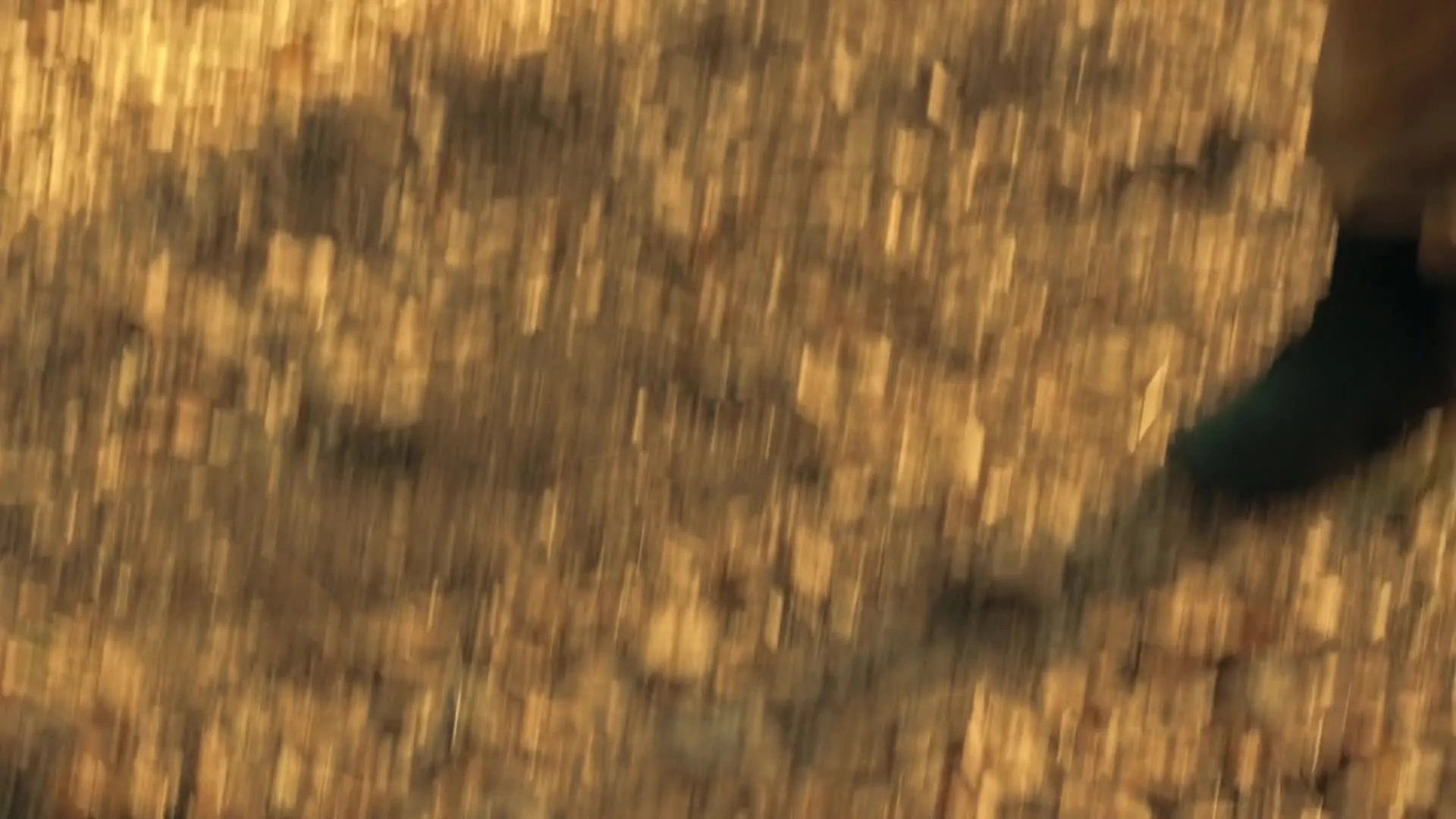 E8.A Land of Wolves