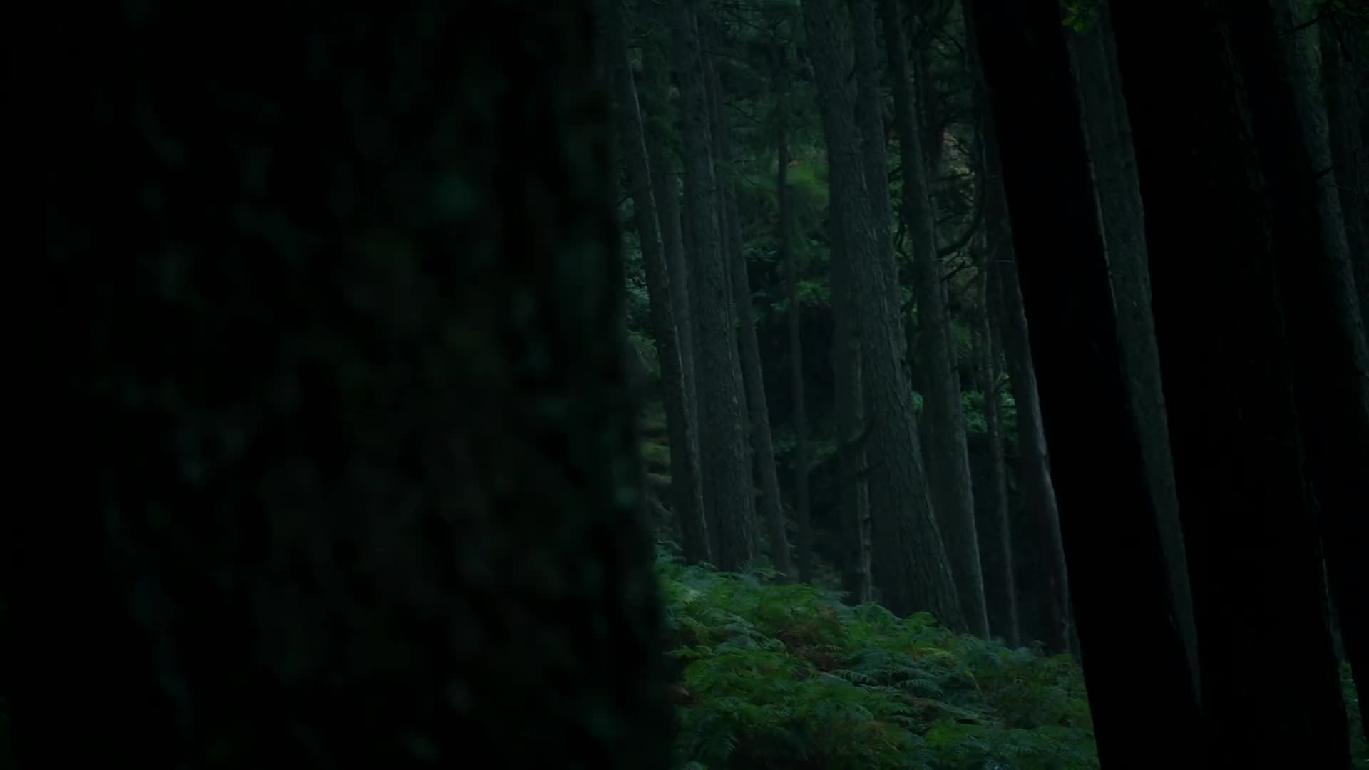 Into the Badlands Episódio 1
