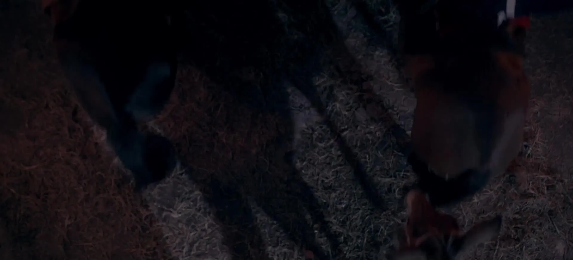 E7.Temporada 01, Episódio 07