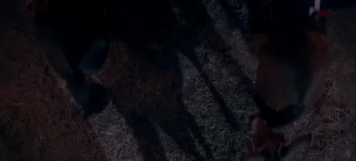 E7.Temporada 01, Episódio 07