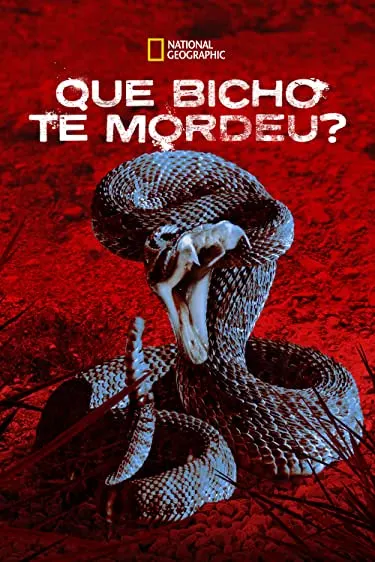 TV series poster: Que Bicho te Mordeu?