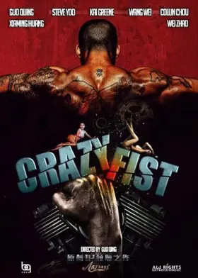 Punhos da Vingança - Filme grátis no Cinegato