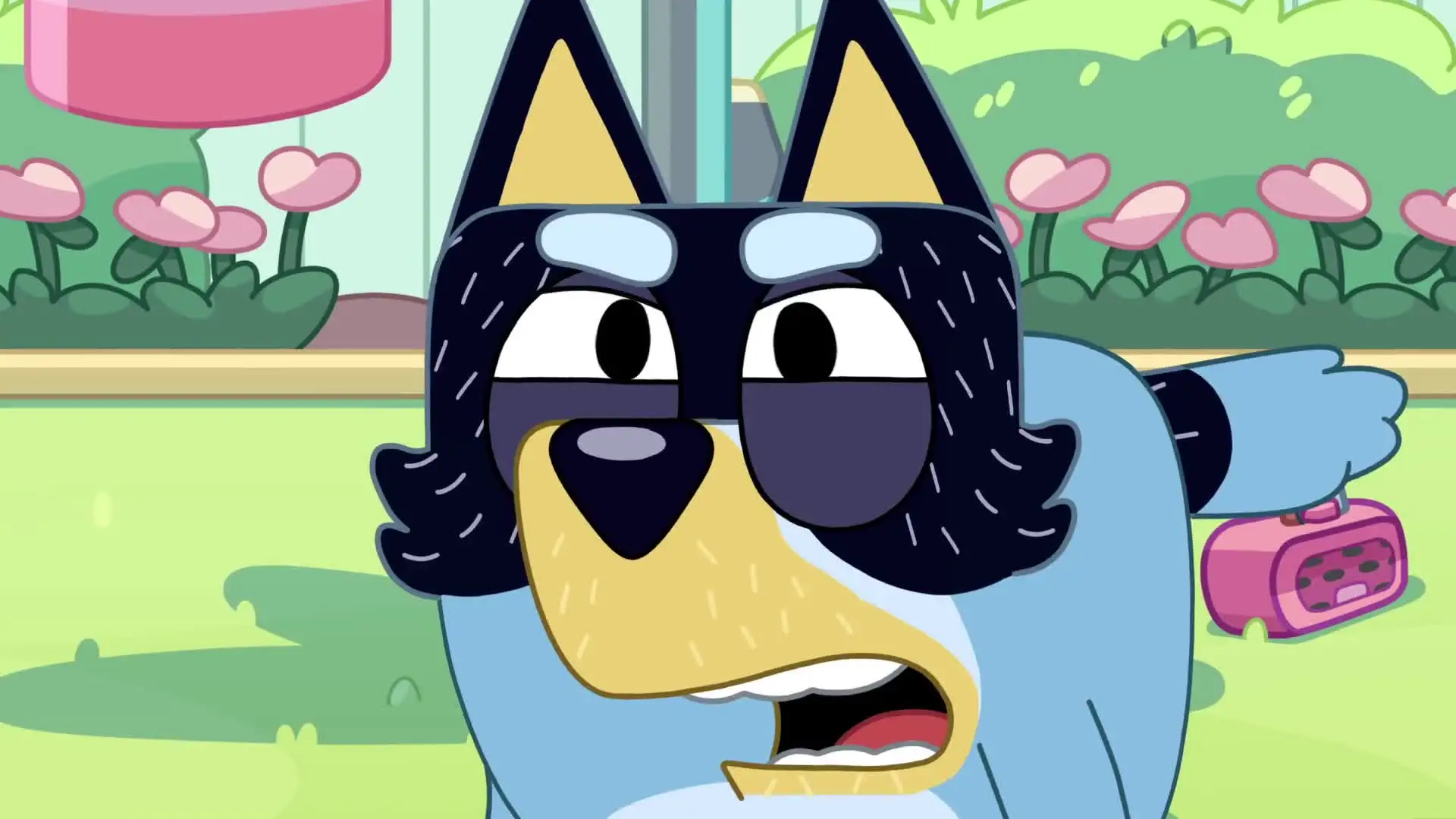 E12.Sheep Dog