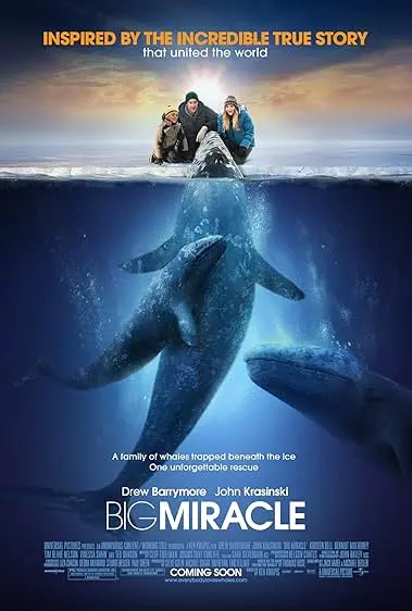 Pôster de O Grande Milagre (2012)