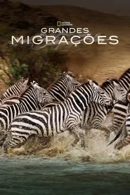 Pôster da série Grandes Migrações (2010)