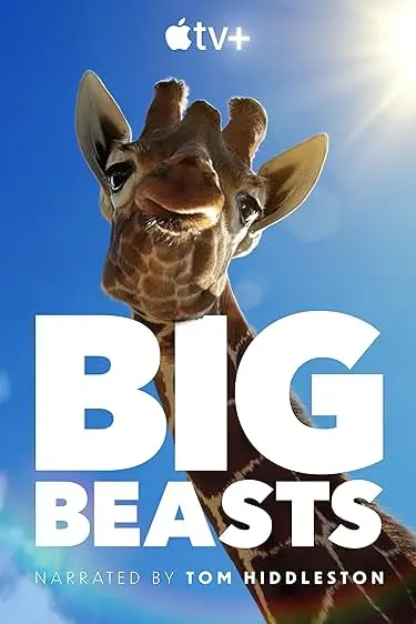 TV series poster: Grandes Animais