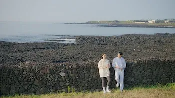 De Volta às Raízes-A chuva das samambaias de Jeju