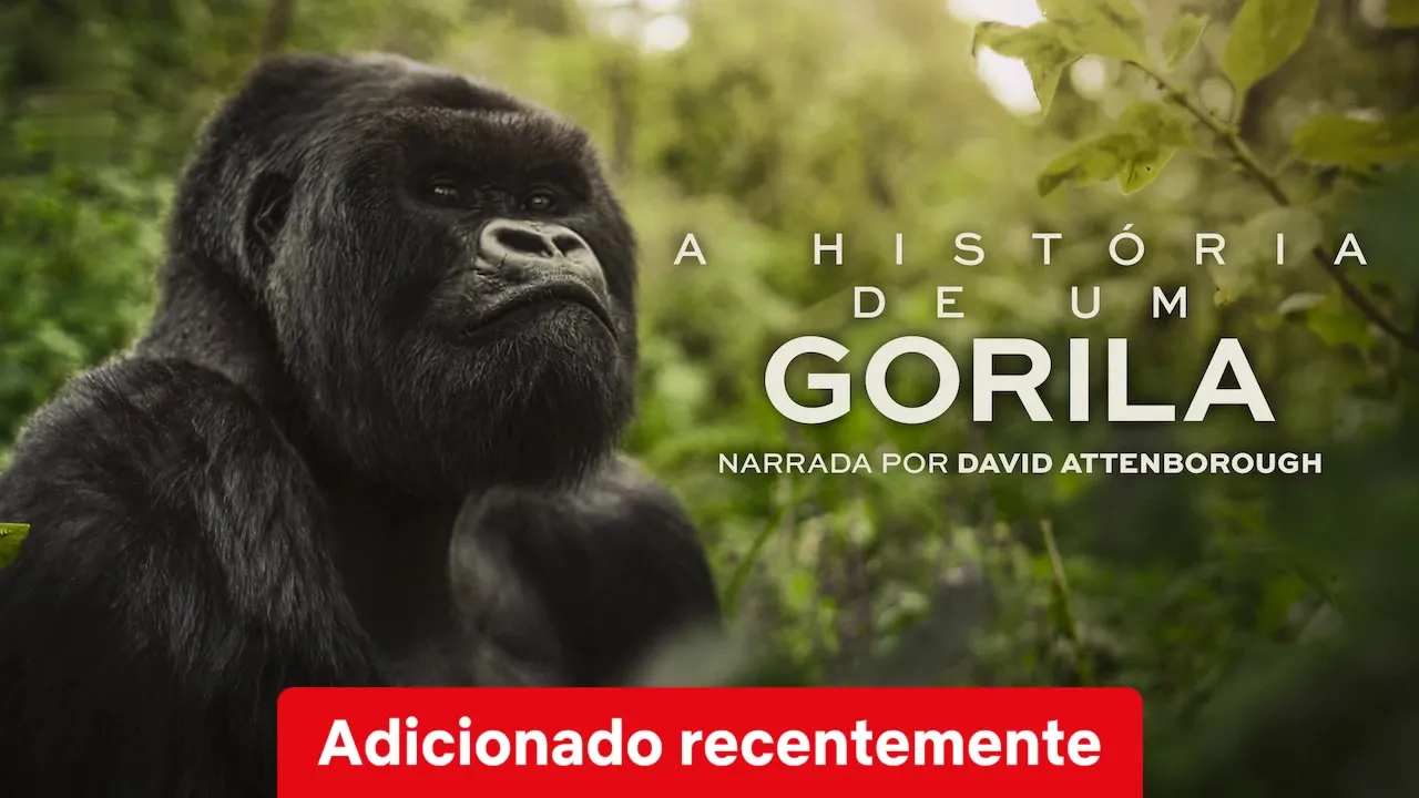 Movie Poster: A História de Um Gorila com David Attenborough