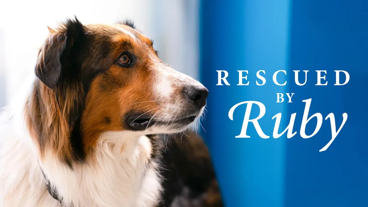 Movie Poster: O Resgate de Ruby