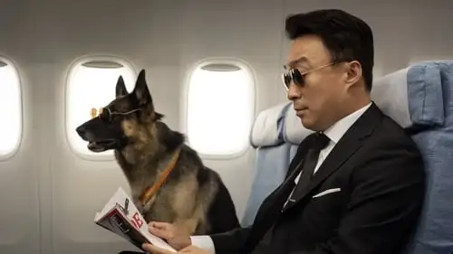 Movie Poster: Agente Z: Mistério no Zoo