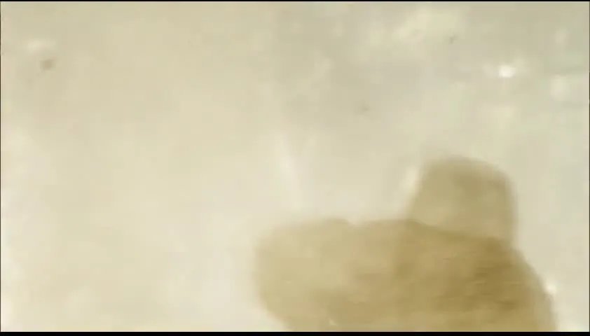 E2