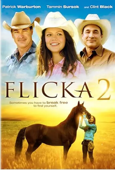 Pôster de Flicka 2 (2010)