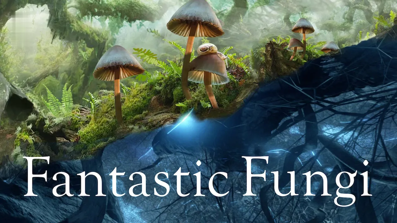 Movie Poster: Fungos Fantásticos