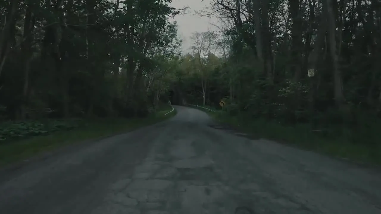 E1.The Pigman