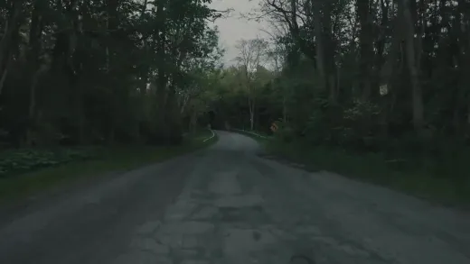 E1.The Pigman