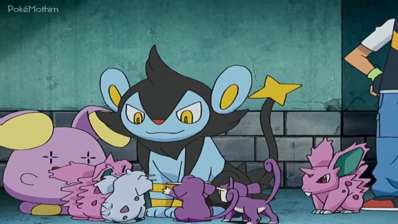 Pokémon The Series:Diamond and Pearl Episódio 5