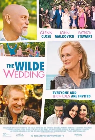 Pôster de Wilde Se Casa Novamente (2017)