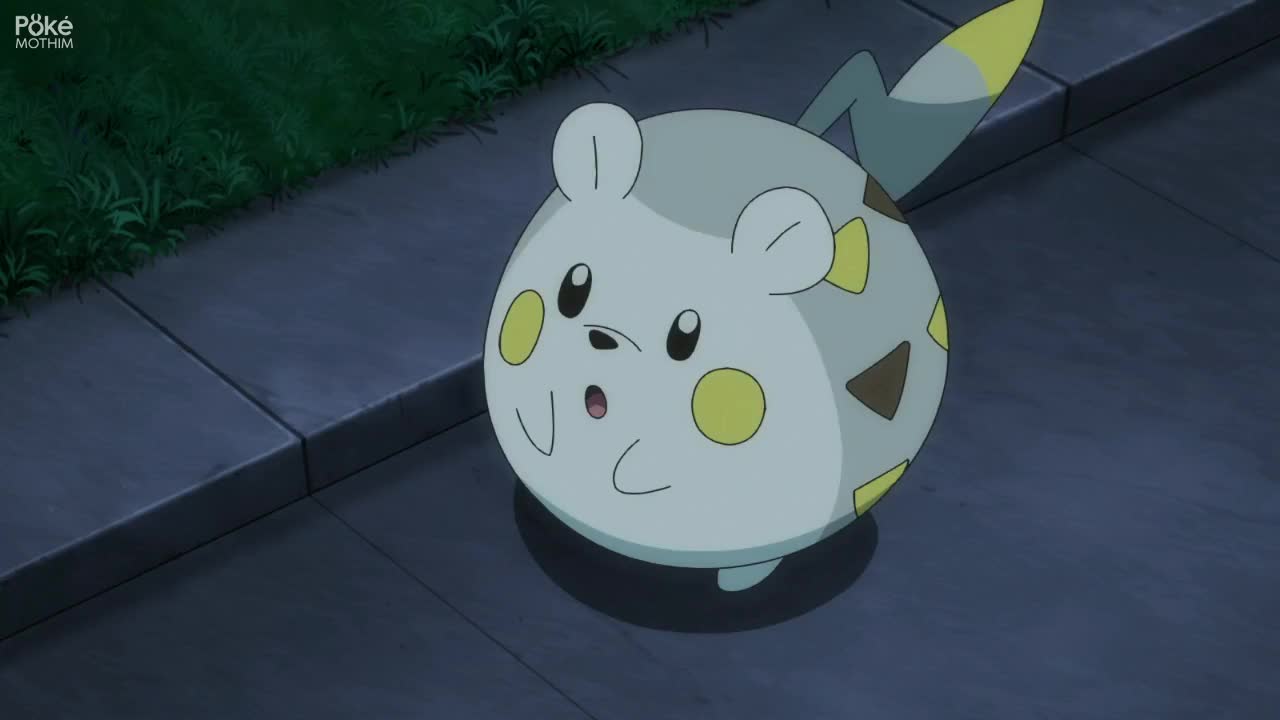 Pokémon The Series: Journeys Episódio 6
