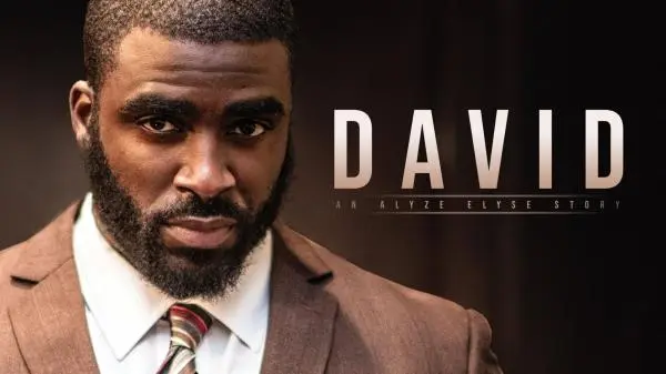 Movie Poster: David Movie